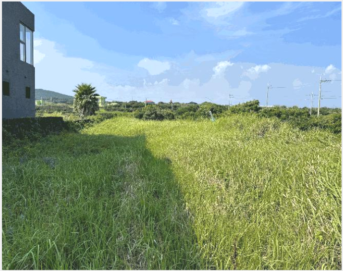 ÅäÁö(Àü) »çÁø1 | Á¦Áֽà ¿ìµµ¸é ¿¬Æò¸® | 2025Ÿ°æ1575 | ÅäÁö(Àü)°æ¸Å