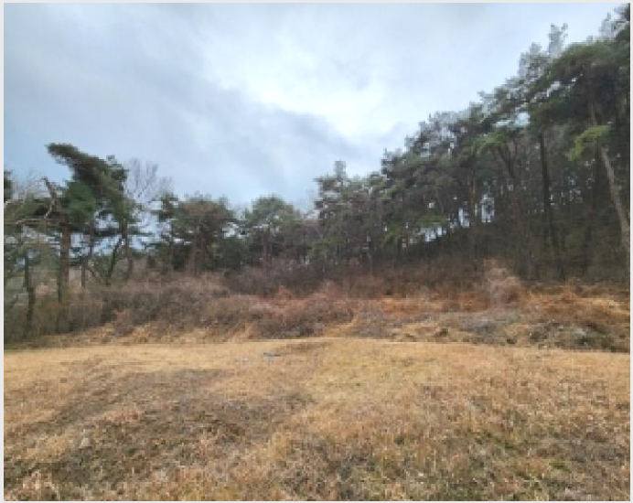 ÅäÁö(Àü) »çÁø1 | ºÏ±¸ ±Ý°îµ¿ 452 | 2026Ÿ°æ30107 | ÅäÁö(Àü)°æ¸Å