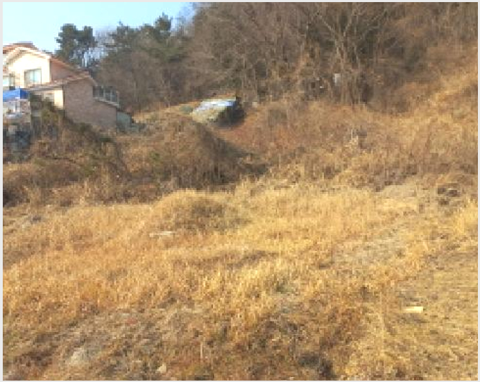 ÅäÁö(ÀÓ¾ß) »çÁø1 | °ÅÁ¦½Ã ¾çÁ¤µ¿ »ê86-3 | 2025Ÿ°æ20330 | ÅäÁö(ÀÓ¾ß)°æ¸Å