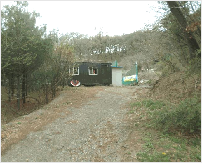 ÅäÁö(´ä) »çÁø1 | ±¸¹Ì½Ã ÀÓ¼öµ¿ 300 | 2024Ÿ°æ794 | ÅäÁö(´ä)°æ¸Å