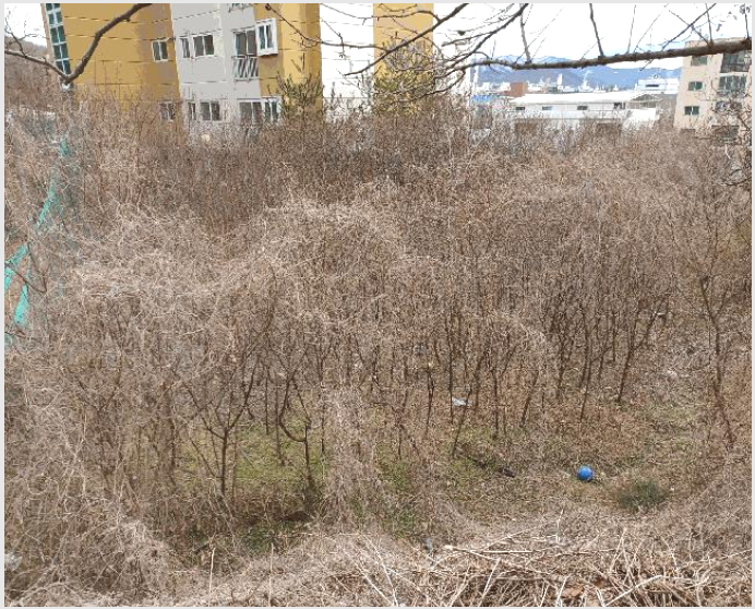 ÅäÁö(´ä) »çÁø1 | ±¸¹Ì½Ã ÀÓ¼öµ¿ 300 | 2024Ÿ°æ794 | ÅäÁö(´ä)°æ¸Å