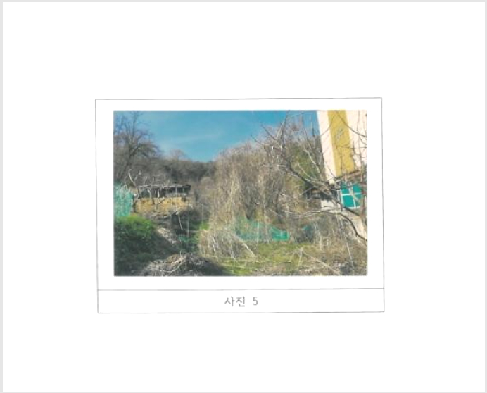 ÅäÁö(´ä) »çÁø1 | ±¸¹Ì½Ã ÀÓ¼öµ¿ 300 | 2024Ÿ°æ794 | ÅäÁö(´ä)°æ¸Å