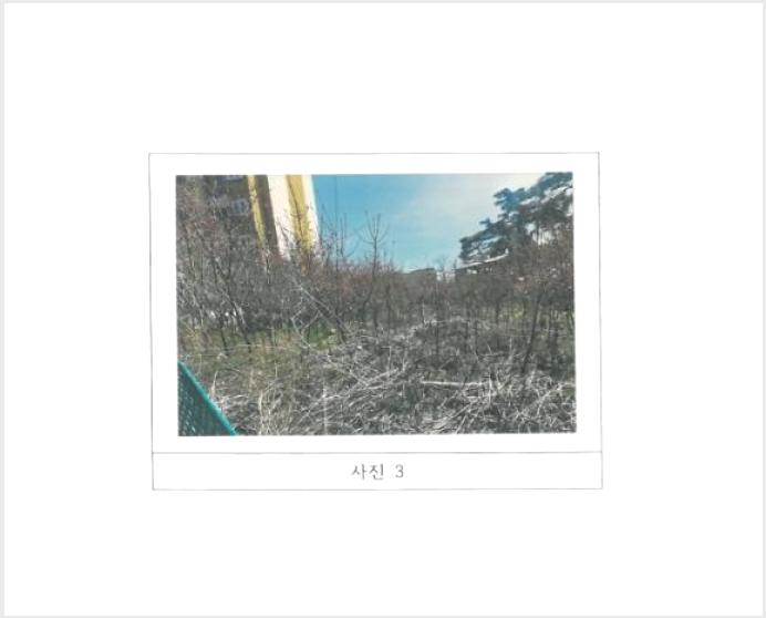 ÅäÁö(´ä) »çÁø1 | ±¸¹Ì½Ã ÀÓ¼öµ¿ 300 | 2024Ÿ°æ794 | ÅäÁö(´ä)°æ¸Å