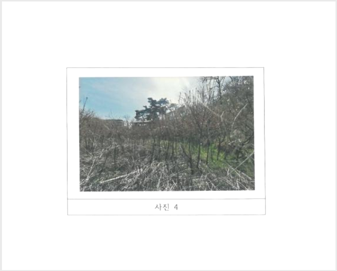 ÅäÁö(´ä) »çÁø1 | ±¸¹Ì½Ã ÀÓ¼öµ¿ 300 | 2024Ÿ°æ794 | ÅäÁö(´ä)°æ¸Å