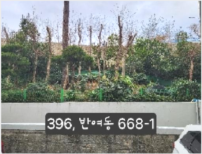 ÅäÁö(ÀÓ¾ß) »çÁø1 | ÇØ¿î´ë±¸ ¹Ý¿©µ¿ 668-1 | 2025Ÿ°æ396 | ÅäÁö(ÀÓ¾ß)°æ¸Å