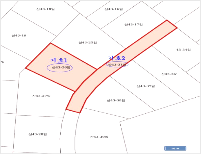 ÅäÁö(ÀÓ¾ß) »çÁø1 | ȼº½Ã Çâ³²À¾ »ó½Å¸® | 2025Ÿ°æ54651 | ÅäÁö(ÀÓ¾ß)°æ¸Å