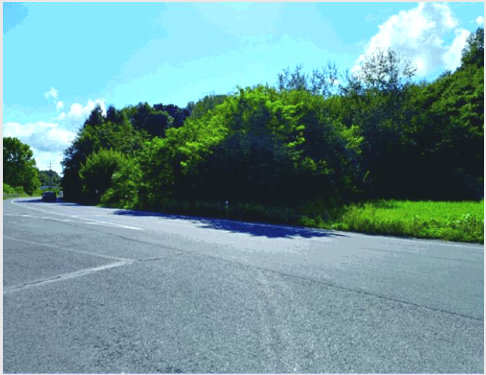 ÅäÁö(Àü) »çÁø1 | ºÎ¿©±º ¾çÈ¸é ¾Ï¼ö¸® | 2025Ÿ°æ20455 | ÅäÁö(Àü)°æ¸Å