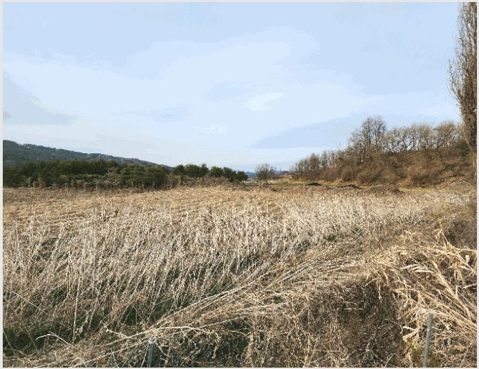 ÅäÁö(´ä) »çÁø1 | ûÁֽà û¿ø±¸ ³»¼öÀ¾ | 2026Ÿ°æ50300 | ÅäÁö(´ä)°æ¸Å