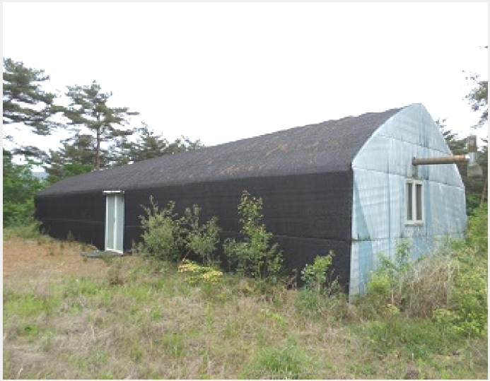 ÅäÁö(ÀÓ¾ß) »çÁø1 | Ⱦ¼º±º ¾ÈÈï¸é ¾ÈÈ︮ | 2025Ÿ°æ831 | ÅäÁö(ÀÓ¾ß)°æ¸Å