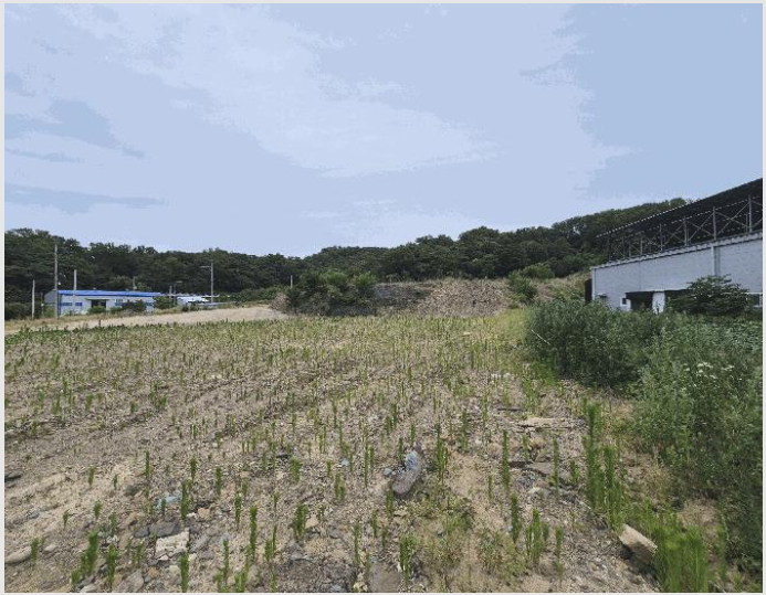 ÅäÁö(ÀÓ¾ß) »çÁø1 | Ä¥°î±º ±â»ê¸é ¿µ¸® | 2025Ÿ°æ8129 | ÅäÁö(ÀÓ¾ß)°æ¸Å