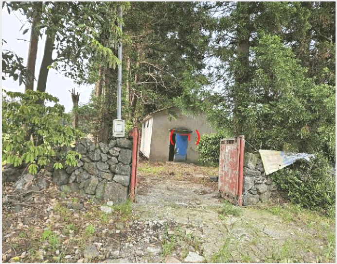 ÅäÁö(Àü) »çÁø1 | ¼±ÍÆ÷½Ã Ç¥¼±¸é °¡½Ã¸® | 2025Ÿ°æ8131 | ÅäÁö(Àü)°æ¸Å