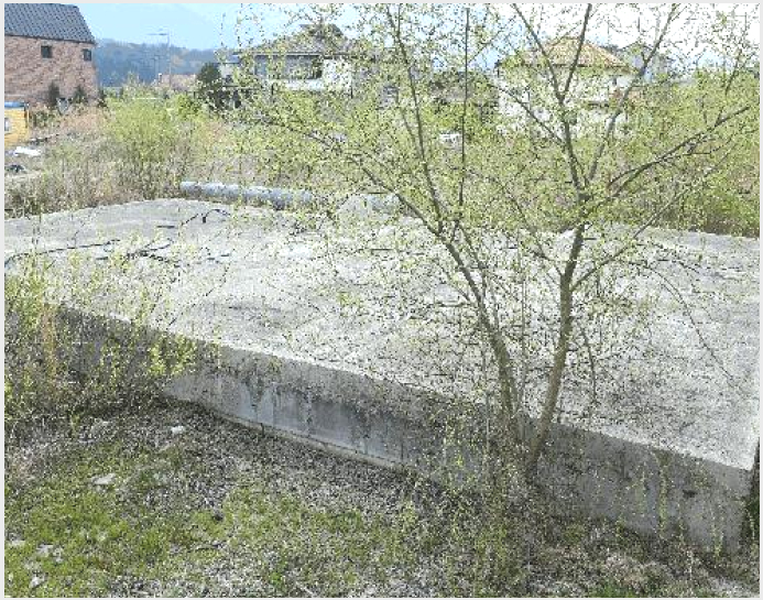 ÅäÁö(´ä) »çÁø1 | ¿ÏÁÖ±º ±¸ÀÌ¸é ¿ø±â¸® | 2025Ÿ°æ30994 | ÅäÁö(´ä)°æ¸Å
