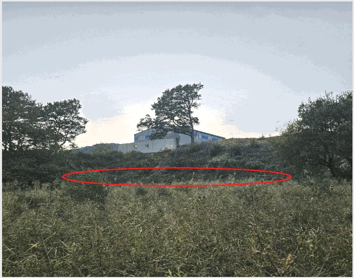 ÅäÁö(´ä) »çÁø1 | ¾ç»ê½Ã »óºÏ¸é ¼Ò¼®¸® | 2025Ÿ°æ12770 | ÅäÁö(´ä)°æ¸Å