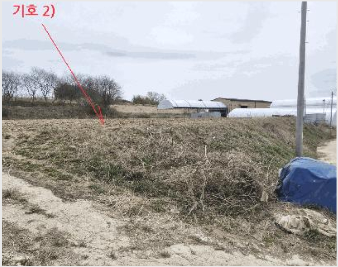 ÅäÁö(Àü) »çÁø1 | ±èÁ¦½Ã ¿ëÁö¸é ¼Û»ê¸® | 2025Ÿ°æ622 | ÅäÁö(Àü)°æ¸Å