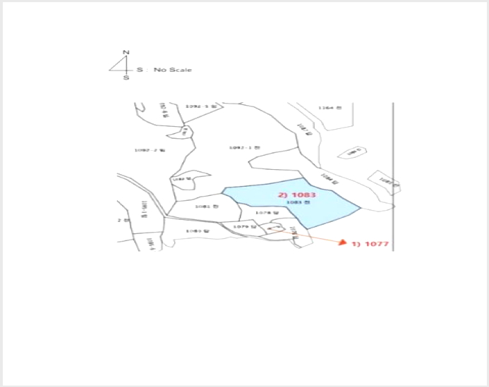 ÅäÁö(´ä) »çÁø1 | ¿©¼ö½Ã Ⱦç¸é À̸ñ¸® | 2024Ÿ°æ59510 | ÅäÁö(´ä)°æ¸Å