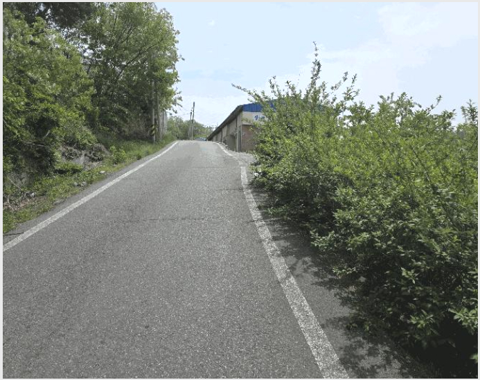 ÅäÁö(ÀÓ¾ß) »çÁø1 | Æ÷Ç׽à ºÏ±¸ ÈïÇØÀ¾ | 2025Ÿ°æ3693 | ÅäÁö(ÀÓ¾ß)°æ¸Å