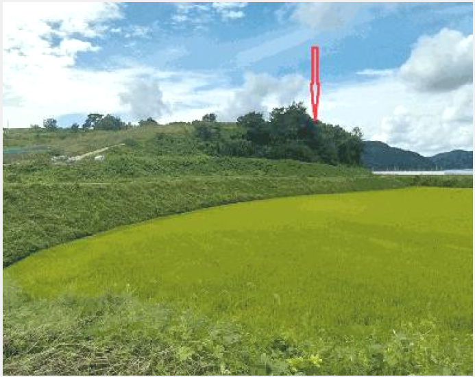 ÅäÁö(ÀÓ¾ß) »çÁø1 | Áø¾È±º ¸¶·É¸é °è¼¸® | 2025Ÿ°æ31685 | ÅäÁö(ÀÓ¾ß)°æ¸Å