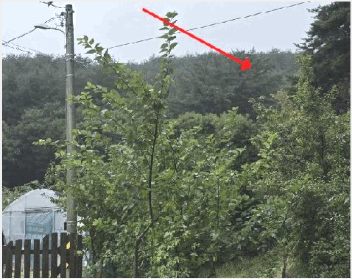 ÅäÁö(ÀÓ¾ß) »çÁø1 | ¾ç¾ç±º ÇöºÏ¸é Áß±¤Á¤¸® | 2025Ÿ°æ10380 | ÅäÁö(ÀÓ¾ß)°æ¸Å