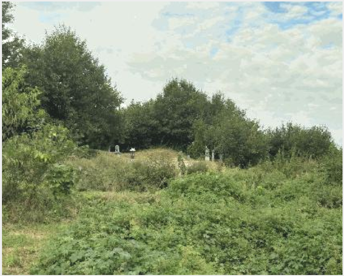 ÅäÁö(Àü) »çÁø1 | ÁõÆò±º µµ¾È¸é ¼®°î¸® | 2025Ÿ°æ51775 | ÅäÁö(Àü)°æ¸Å