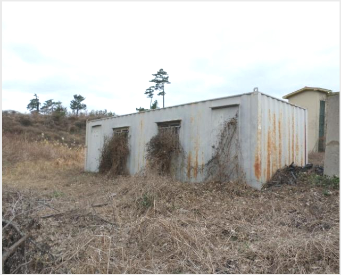 ÅäÁö(ÀÓ¾ß) »çÁø1 | Á¦Áֽà ¾Ö¿ùÀ¾ °í³»¸® | 2024Ÿ°æ20500 | ÅäÁö(ÀÓ¾ß)°æ¸Å
