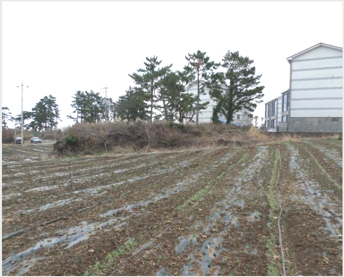 ÅäÁö(ÀÓ¾ß) »çÁø1 | Á¦Áֽà ¾Ö¿ùÀ¾ °í³»¸® | 2024Ÿ°æ20500 | ÅäÁö(ÀÓ¾ß)°æ¸Å