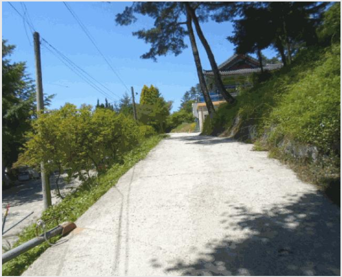 ÅäÁö(ÀÓ¾ß) »çÁø1 | ´ã¾ç±º ´ã¾çÀ¾ Çе¿¸® | 2025Ÿ°æ32867 | ÅäÁö(ÀÓ¾ß)°æ¸Å