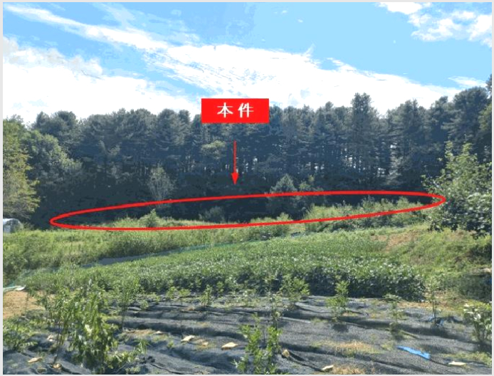 ÅäÁö(´ëÁö) »çÁø1 | Æ÷õ½Ã ½ÅºÏ¸é °¥¿ù¸® | 2025Ÿ°æ73104 | ÅäÁö(´ëÁö)°æ¸Å