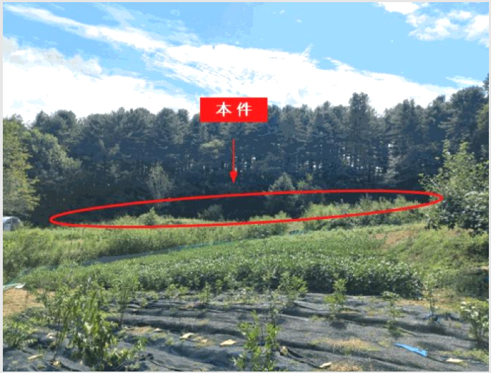 ÅäÁö(´ëÁö) »çÁø1 | Æ÷õ½Ã ½ÅºÏ¸é °¥¿ù¸® | 2025Ÿ°æ73104 | ÅäÁö(´ëÁö)°æ¸Å