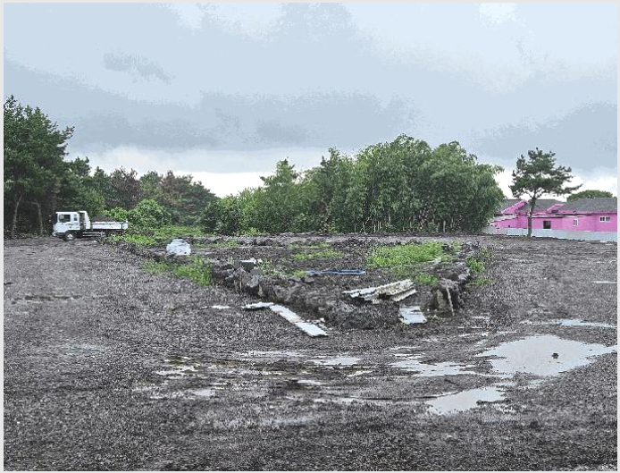 ÅäÁö(ÀÓ¾ß) »çÁø1 | ¼±ÍÆ÷½Ã ¾È´ö¸é »ó⸮ | 2025Ÿ°æ1696 | ÅäÁö(ÀÓ¾ß)°æ¸Å