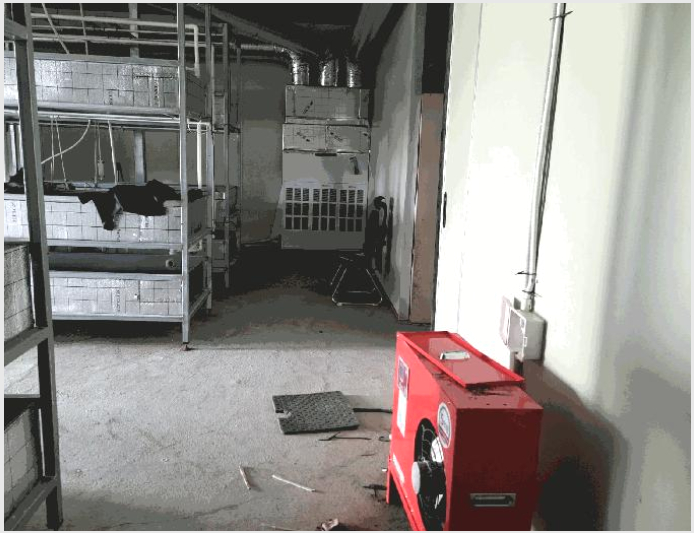 Ãà»ç(³ó°¡½Ã¼³) »çÁø1 | ³ªÁֽà µ¿°¸é ¿ù¾ç¸® | 2025Ÿ°æ33844 | Ãà»ç(³ó°¡½Ã¼³)°æ¸Å