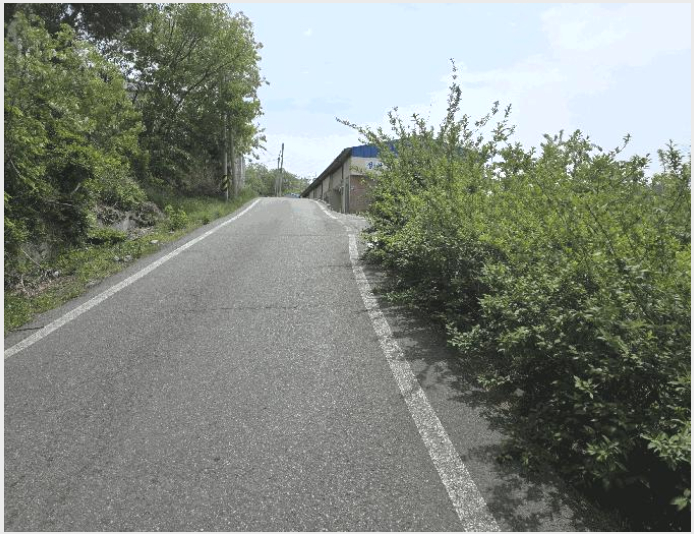 ÅäÁö(ÀÓ¾ß) »çÁø1 | Æ÷Ç׽à ºÏ±¸ ÈïÇØÀ¾ | 2025Ÿ°æ3693 | ÅäÁö(ÀÓ¾ß)°æ¸Å