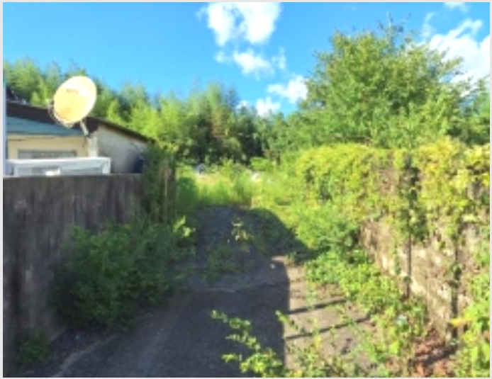 ÅäÁö(´ëÁö) »çÁø1 | ±¤¾ç½Ã Ȳ±æµ¿ 513 | 2024Ÿ°æ58463 | ÅäÁö(´ëÁö)°æ¸Å