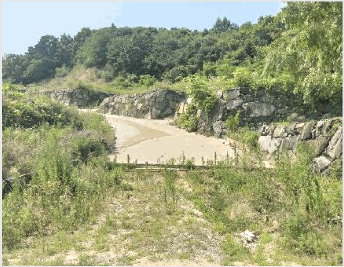 ÅäÁö(ÀÓ¾ß) »çÁø1 | ¿Áõ±º µ¿ÀÌ¸é ³²°î¸® | 2025Ÿ°æ88 | ÅäÁö(ÀÓ¾ß)°æ¸Å