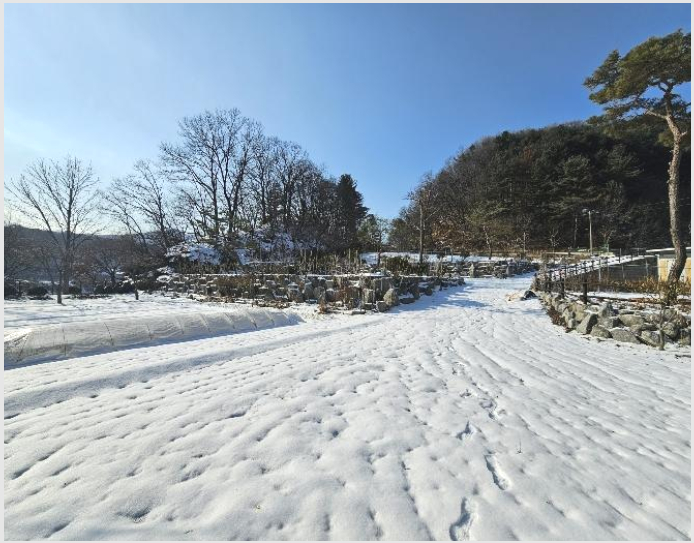 ÅäÁö(ÀâÁ¾Áö) »çÁø1 | Æ÷õ½Ã â¼ö¸é °í¼Ò¼º¸® | 2024Ÿ°æ92902 | ÅäÁö(ÀâÁ¾Áö)°æ¸Å