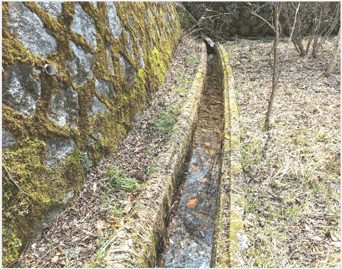 ÅäÁö(ÀÓ¾ß) »çÁø1 | Ⱦ¼º±º µÐ³»¸é Çöõ¸® | 2025Ÿ°æ20501 | ÅäÁö(ÀÓ¾ß)°æ¸Å