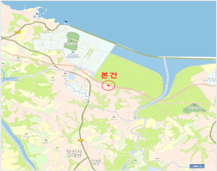 ÅäÁö(´ä) »çÁø1 | ´çÁø½Ã ¼®¹®¸é ÅëÁ¤¸® | 2025Ÿ°æ704 | ÅäÁö(´ä)°æ¸Å