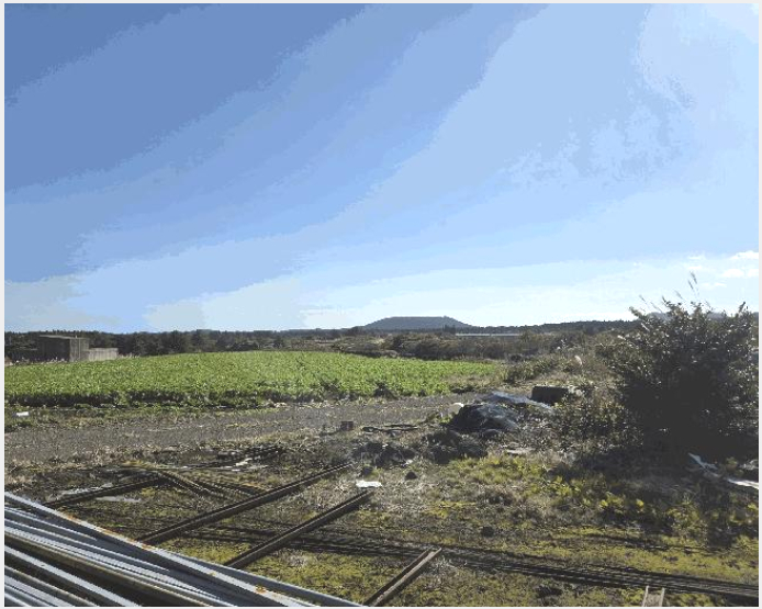 ÅäÁö(Àü) »çÁø1 | Á¦Áֽà ±¸ÁÂÀ¾ ¼Û´ç¸® | 2025Ÿ°æ9003 | ÅäÁö(Àü)°æ¸Å