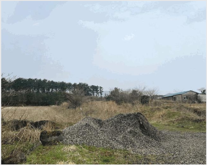 ÅäÁö(Àü) »çÁø1 | Á¦Áֽà Á¶ÃµÀ¾ ±³·¡¸® | 2025Ÿ°æ7728 | ÅäÁö(Àü)°æ¸Å