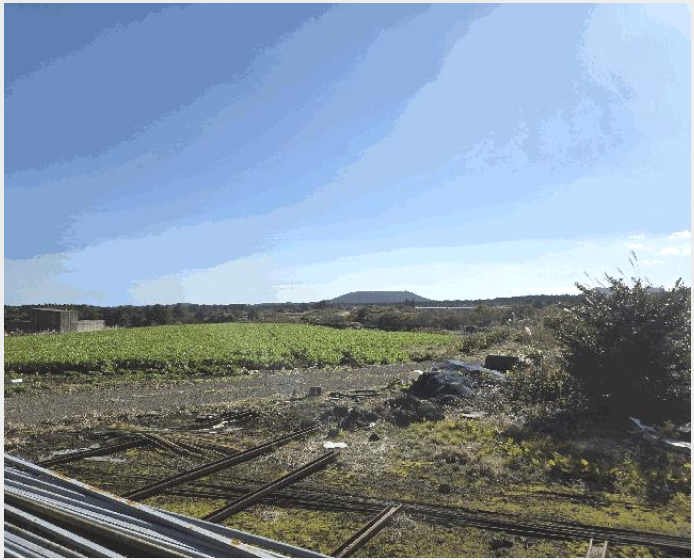 ÅäÁö(Àü) »çÁø1 | Á¦Áֽà ±¸ÁÂÀ¾ ¼Û´ç¸® | 2025Ÿ°æ9003 | ÅäÁö(Àü)°æ¸Å