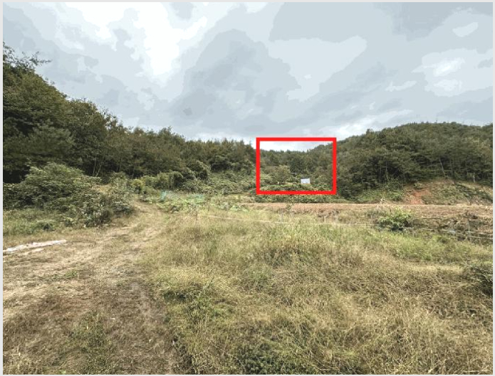 ÅäÁö(Àü) »çÁø1 | º¸¼º±º º¹³»¸é µ¿±³¸® | 2025Ÿ°æ52086 | ÅäÁö(Àü)°æ¸Å
