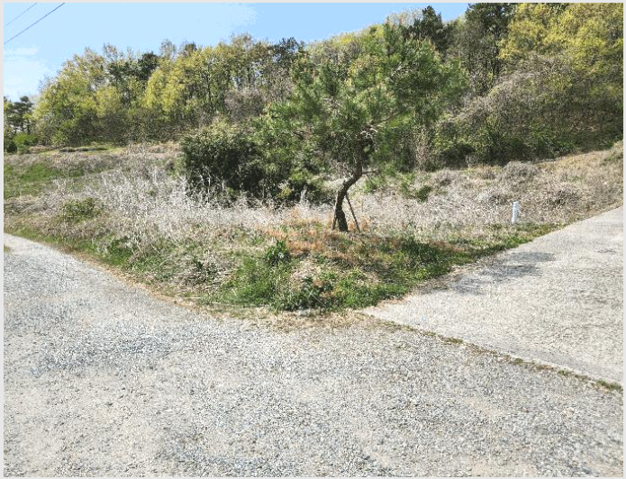 ÅäÁö(Àü) »çÁø1 | â³ç±º ¿µ»ê¸é ºÀ¾Ï¸® | 2024Ÿ°æ13277 | ÅäÁö(Àü)°æ¸Å
