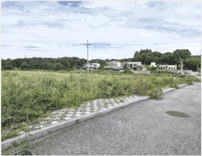 ÅäÁö(Àü) »çÁø1 | ÀüÁֽà ¿Ï»ê±¸ »ïõµ¿3°¡ | 2025Ÿ°æ932 | ÅäÁö(Àü)°æ¸Å