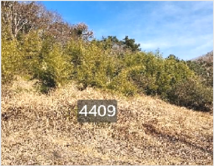 ÅäÁö(ÀÓ¾ß) »çÁø1 | ±âÀ屺 ö¸¶¸é ±¸Ä¥¸® | 2025Ÿ°æ4409 | ÅäÁö(ÀÓ¾ß)°æ¸Å