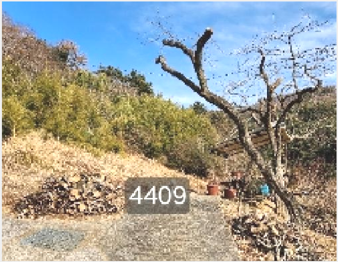 ÅäÁö(ÀÓ¾ß) »çÁø1 | ±âÀ屺 ö¸¶¸é ±¸Ä¥¸® | 2025Ÿ°æ4409 | ÅäÁö(ÀÓ¾ß)°æ¸Å