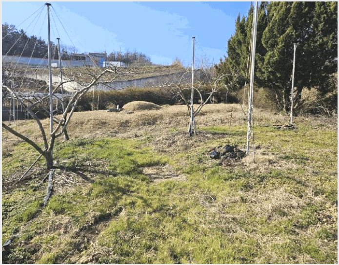 ÅäÁö(Àü) »çÁø1 | ¿µÃµ½Ã ȳ²¸é »ï⸮ | 2024Ÿ°æ128297 | ÅäÁö(Àü)°æ¸Å