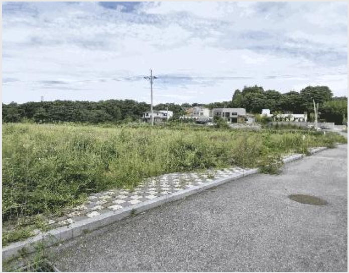 ÅäÁö(Àü) »çÁø1 | ÀüÁֽà ¿Ï»ê±¸ »ïõµ¿3°¡ | 2025Ÿ°æ932 | ÅäÁö(Àü)°æ¸Å