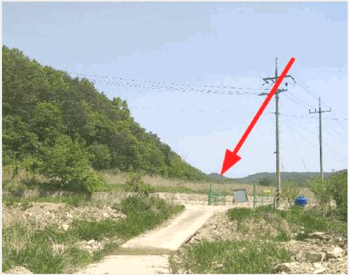 ÅäÁö(´ä) »çÁø1 | ¿µµ¿±º Çлê¸é Áö³»¸® | 2025Ÿ°æ73 | ÅäÁö(´ä)°æ¸Å