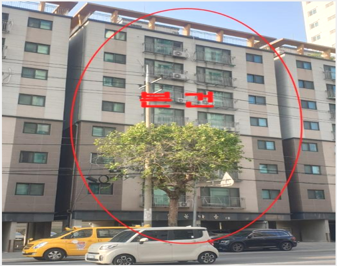 µµ½ÃÇü»ýȰÁÖÅà »çÁø1 | ¹ÌÃßȦ±¸ µµÈµ¿ 642-20 | 2023Ÿ°æ515582 | µµ½ÃÇü»ýȰÁÖÅðæ¸Å