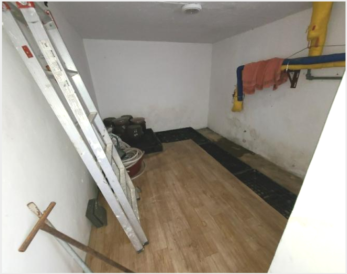 ÁÖÅà »çÁø1 | ´ë´ö±¸ ºñ·¡µ¿ 559-33 | 2024Ÿ°æ100312 | ÁÖÅðæ¸Å