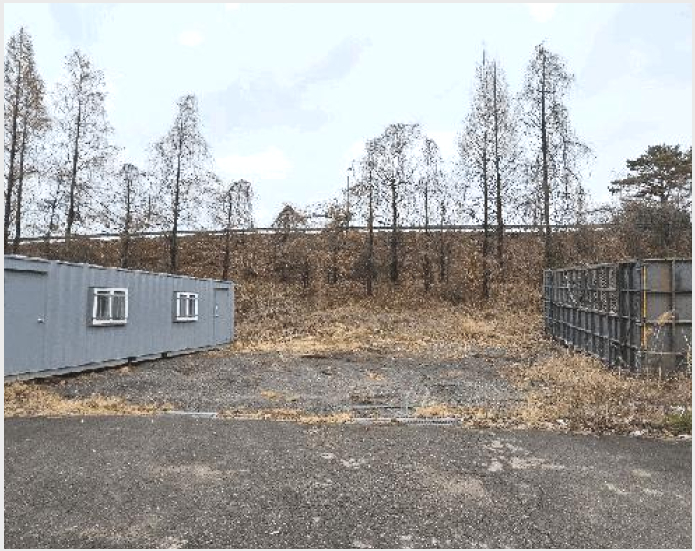 ÅäÁö(ÀÓ¾ß) »çÁø1 | ûÁֽà û¿ø±¸ ³»¼öÀ¾ | 2025Ÿ°æ52084 | ÅäÁö(ÀÓ¾ß)°æ¸Å